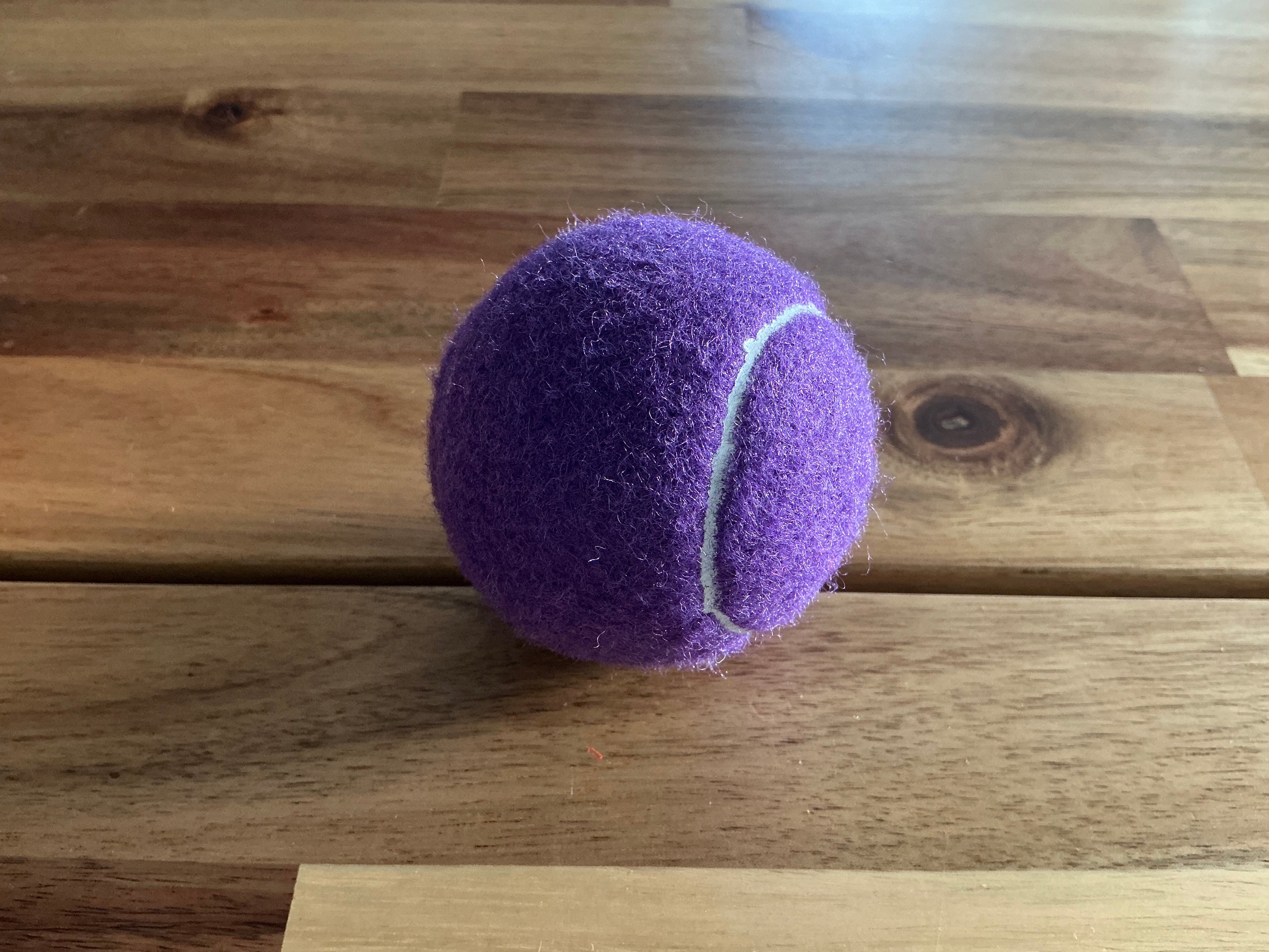 Bolas grandes para Perros Violeta