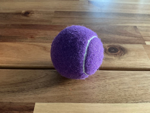 Bolas grandes para Perros Violeta