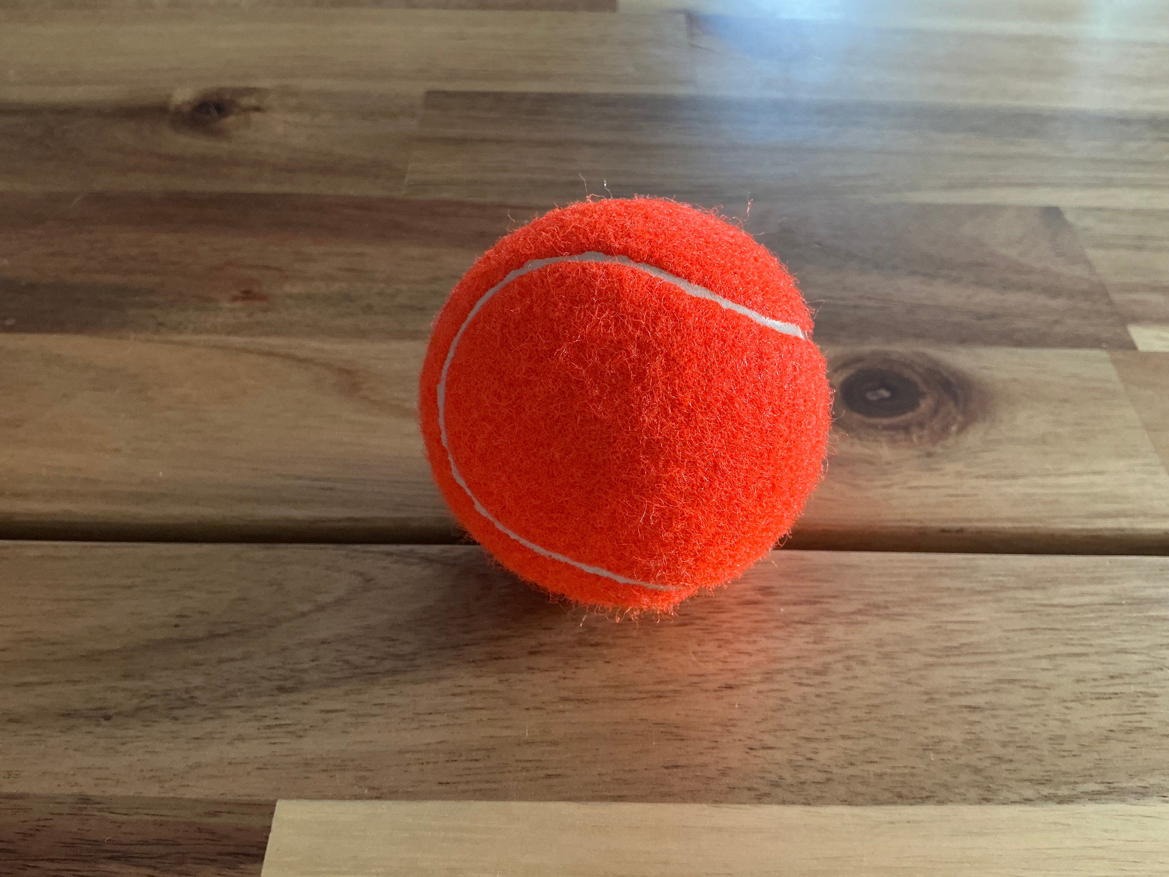 Bolas grandes para Perros Naranja