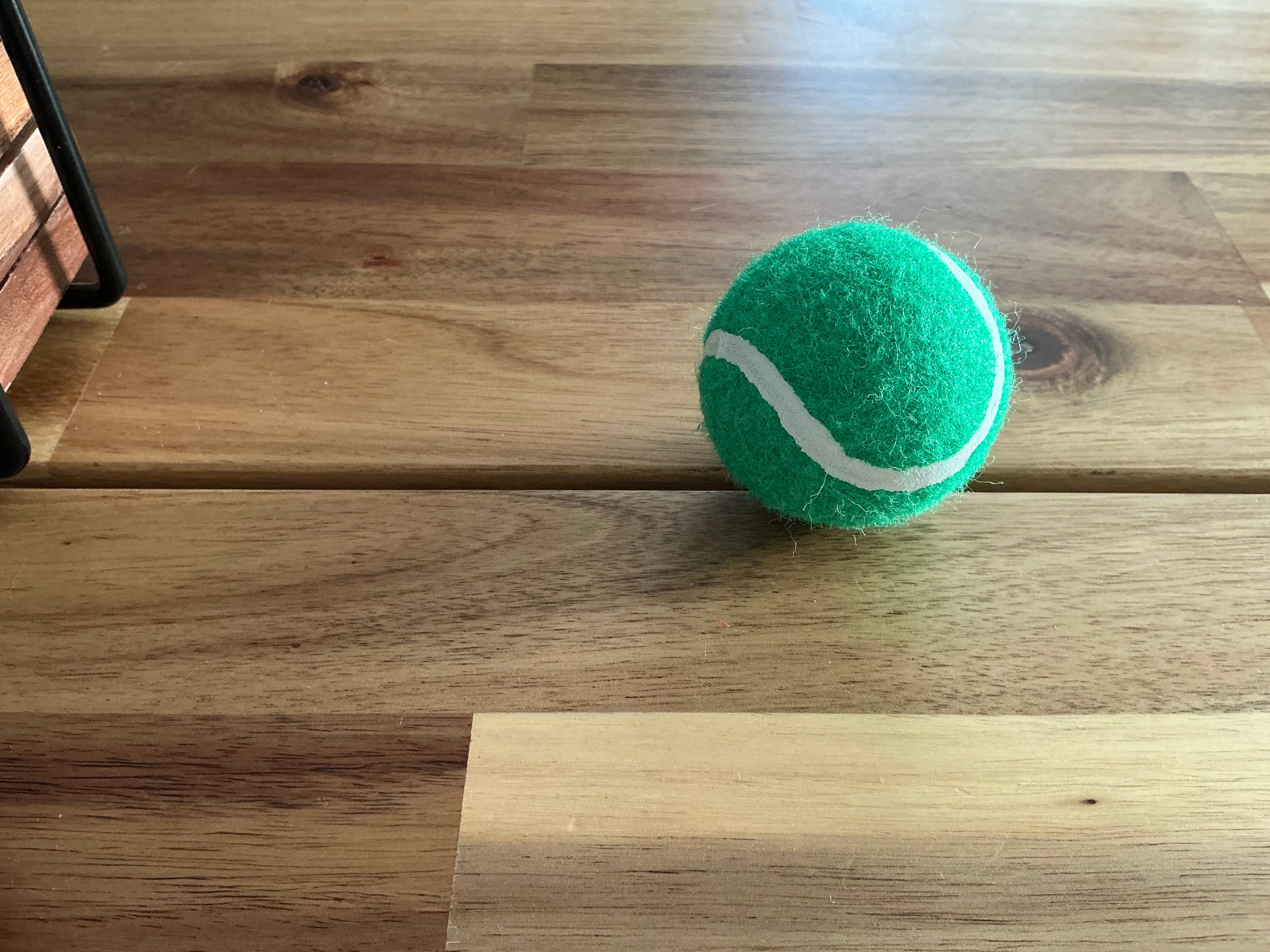 Bolas para perros pequeños (Verde)