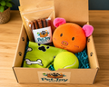 Pet Joy Box Mini -