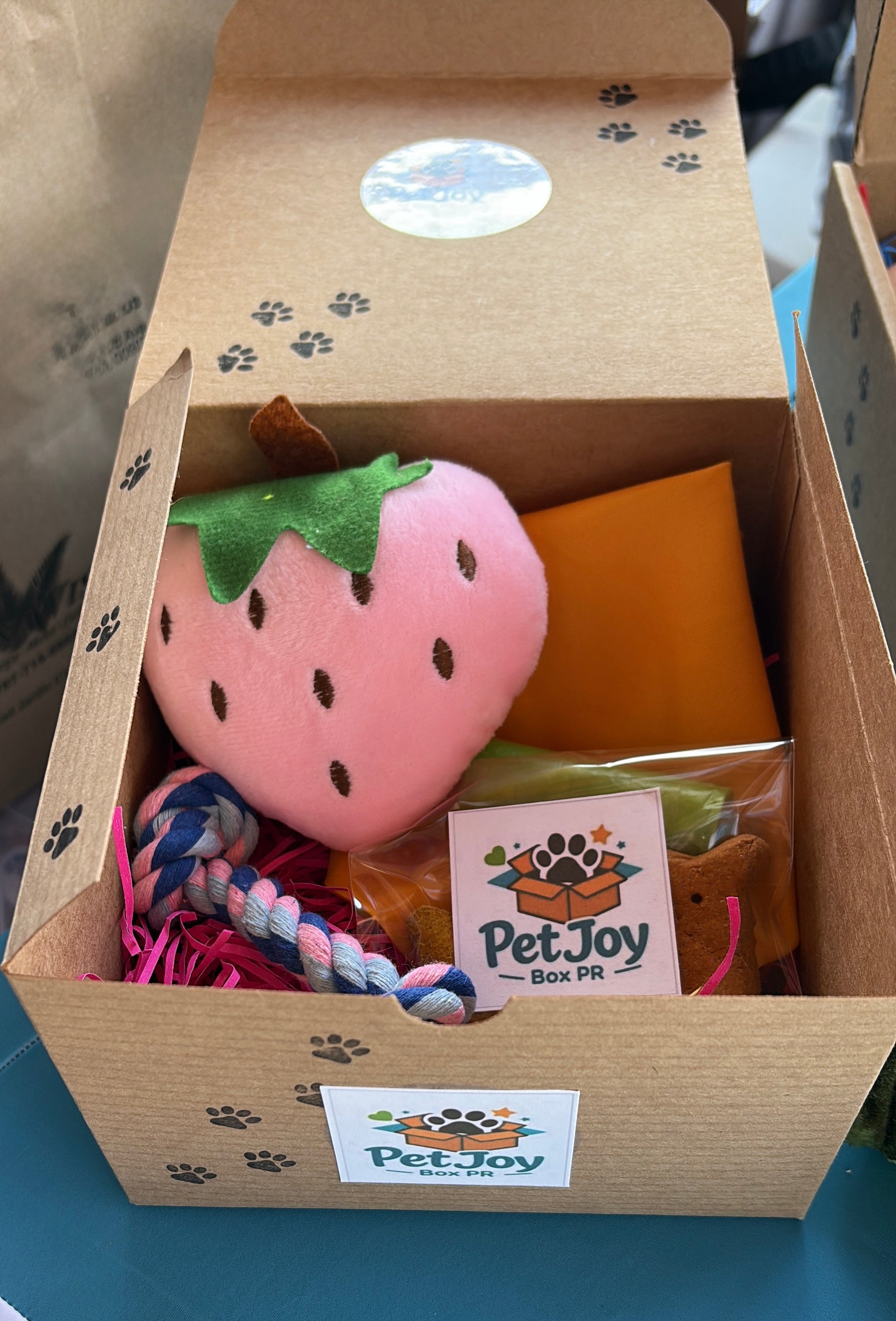 Pet Joy Box Mini – Small Size