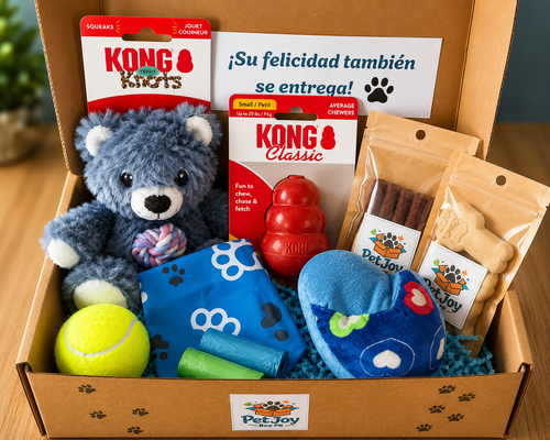 Caja Premium para perros pequeños con juguetes KONG, golosinas y accesorios para mascotas.