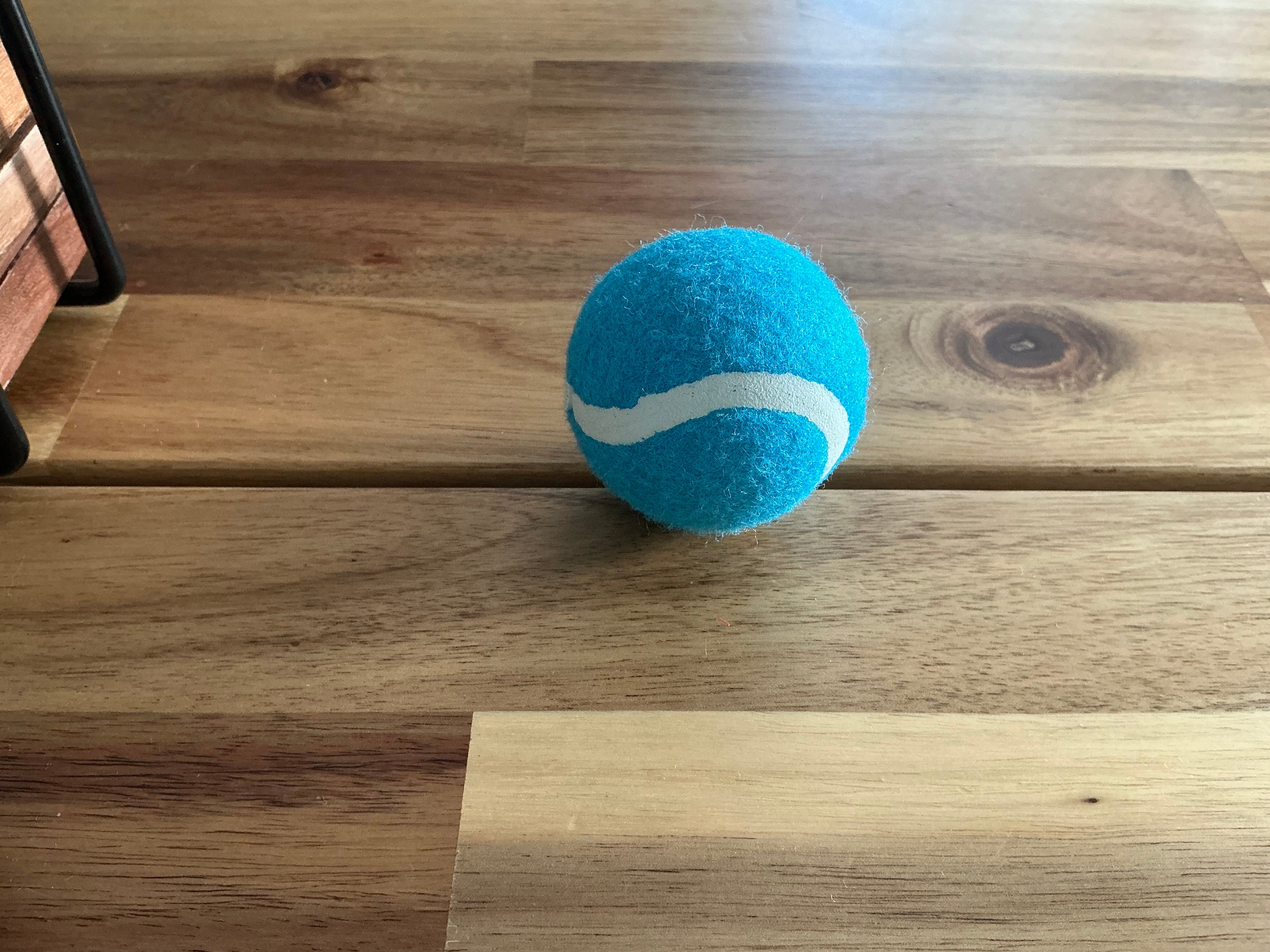 Bolas para perros pequeños (Azul)