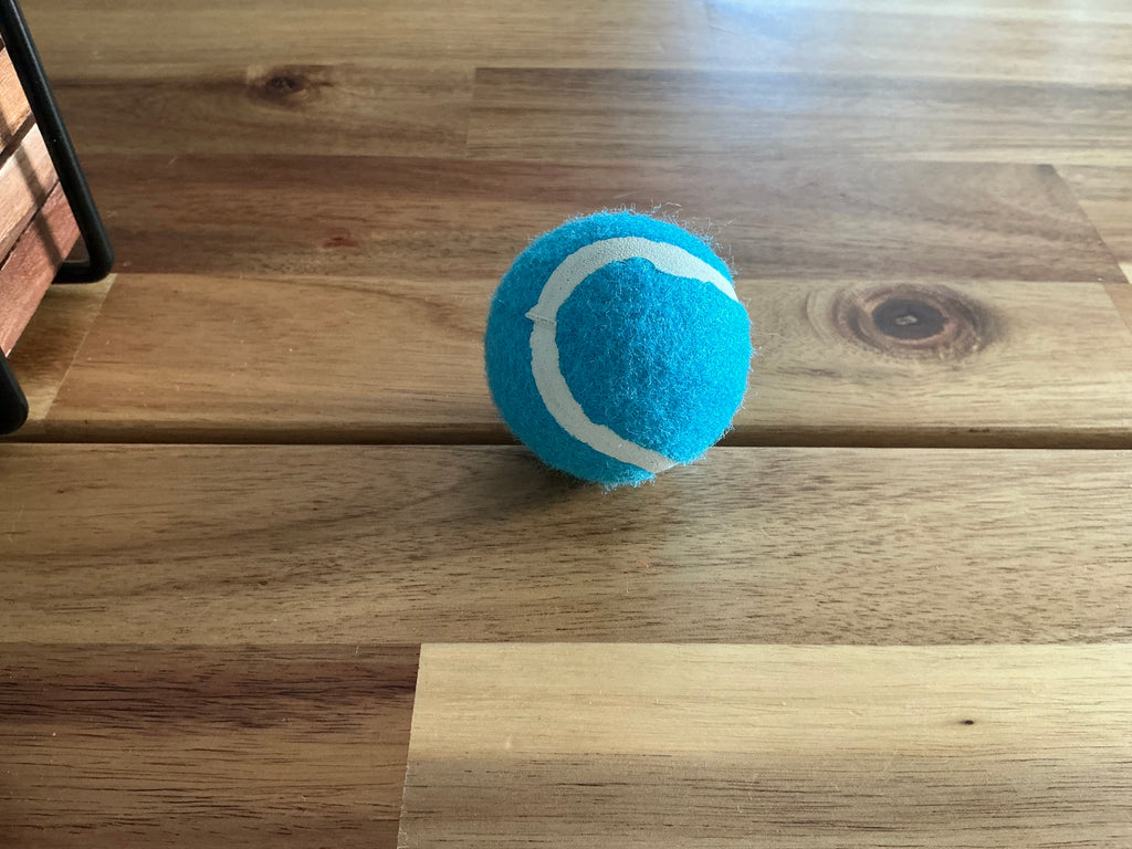 Bolas para perros pequeños (Azul claro)