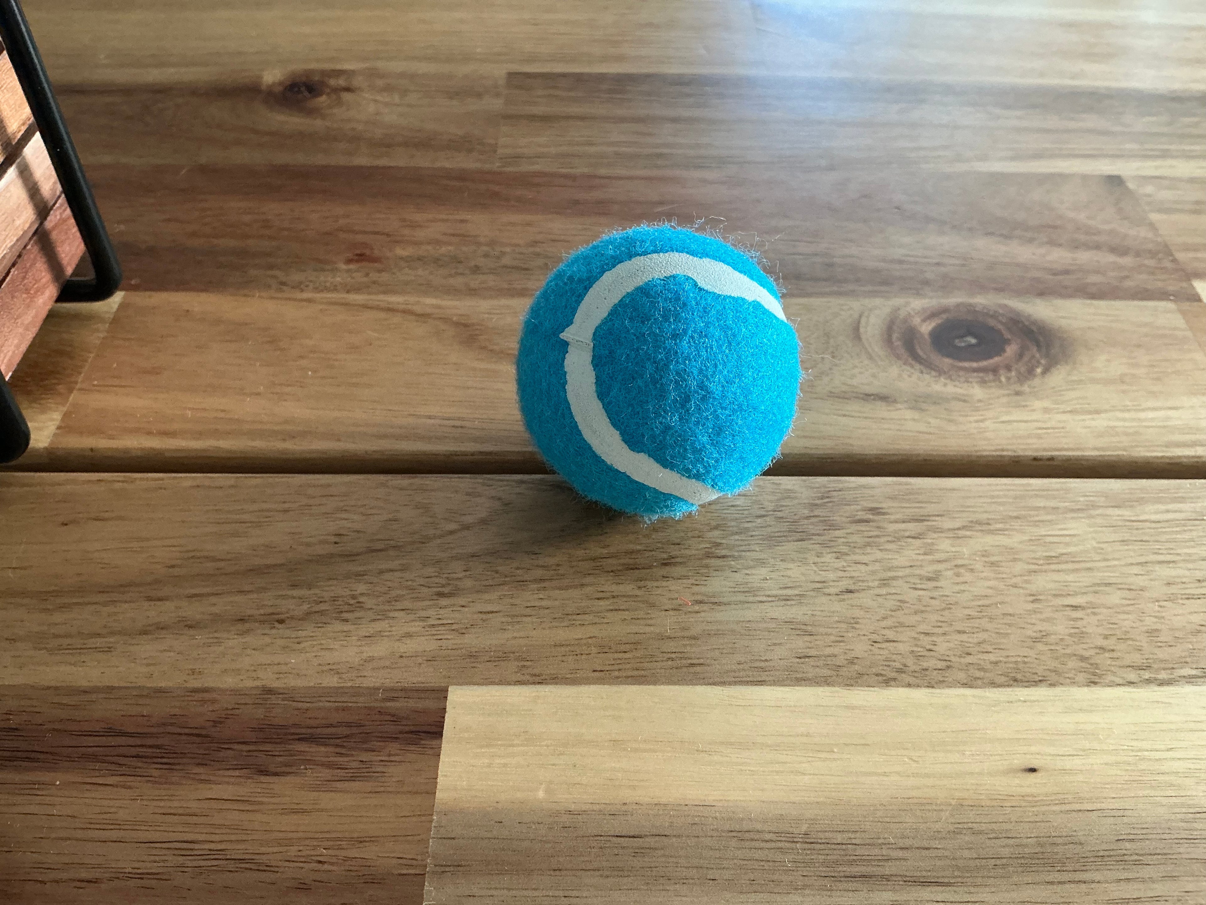 Bolas para perros pequeños (Azul claro)