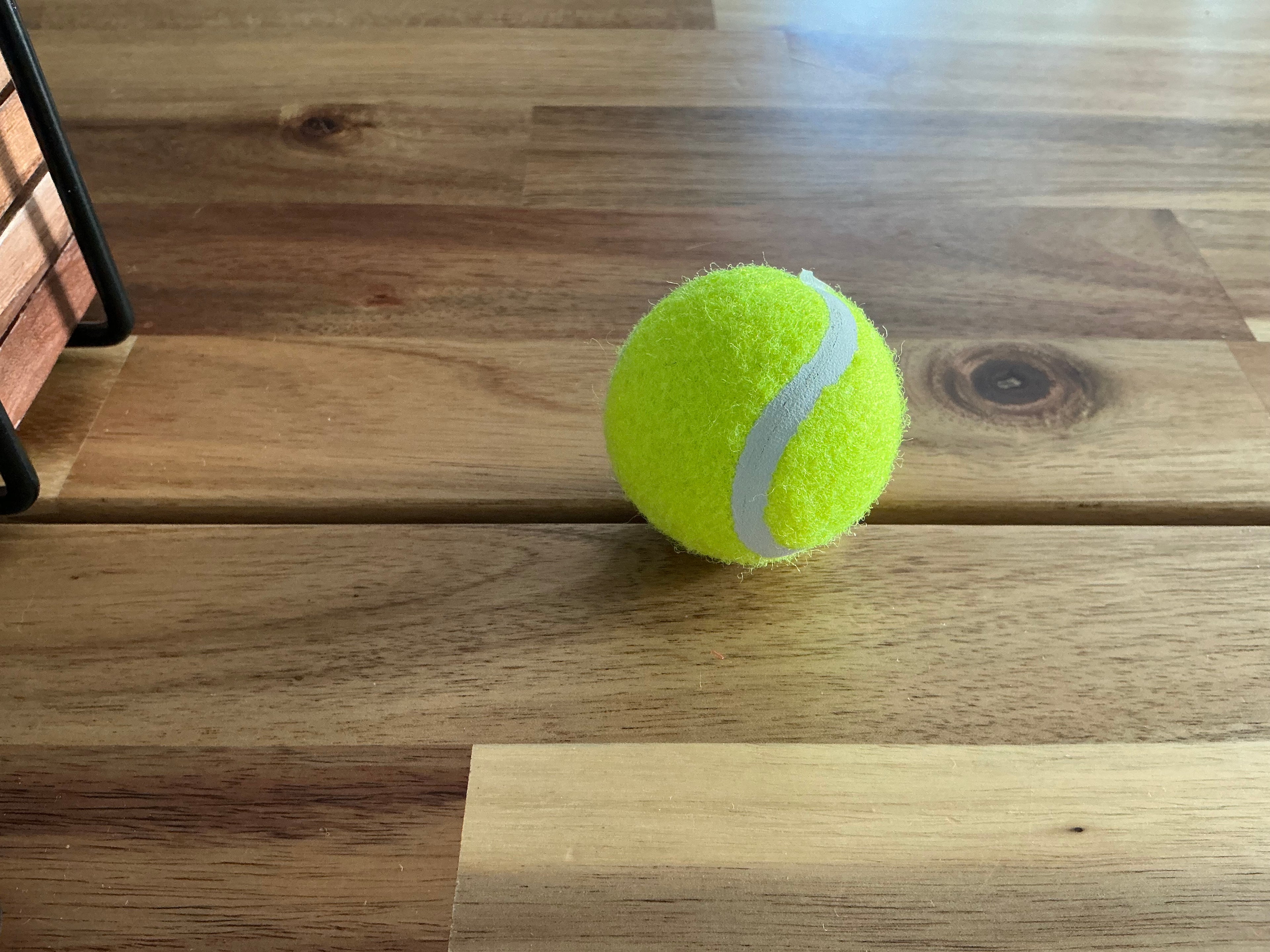 Bolas para perros pequeños (Amarillo)