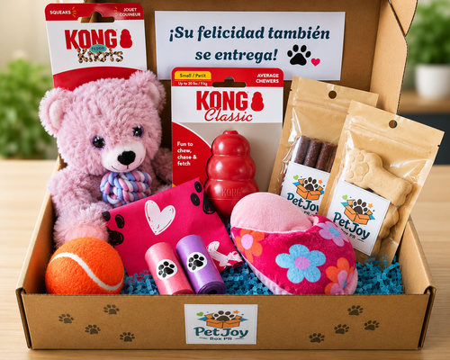 Caja Premium para perros pequeños con juguetes KONG, golosinas y accesorios para mascotas.