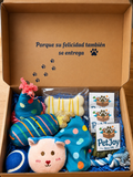 Pet Joy box cumpleaños