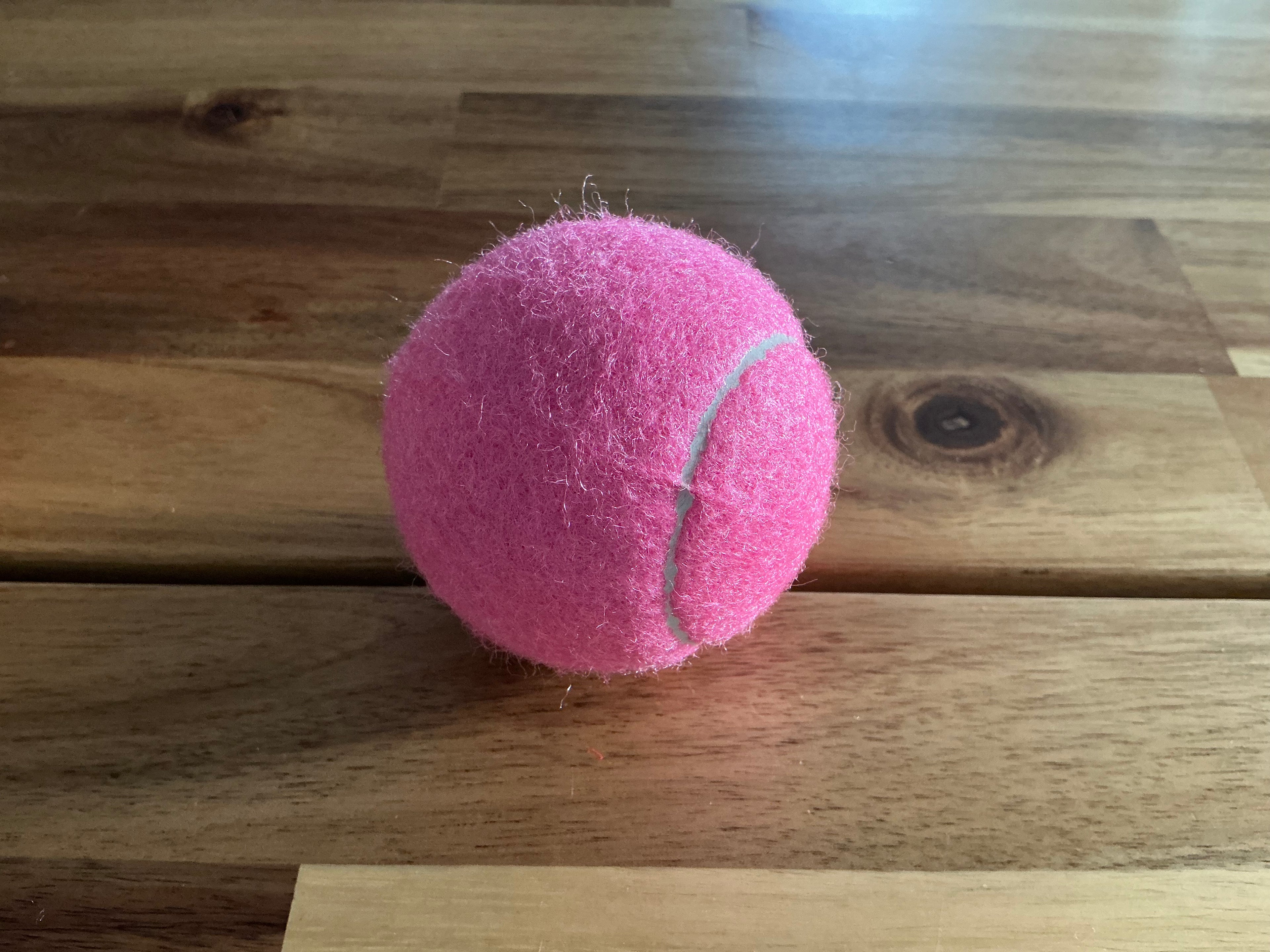 Bolas grandes para Perros Rosa