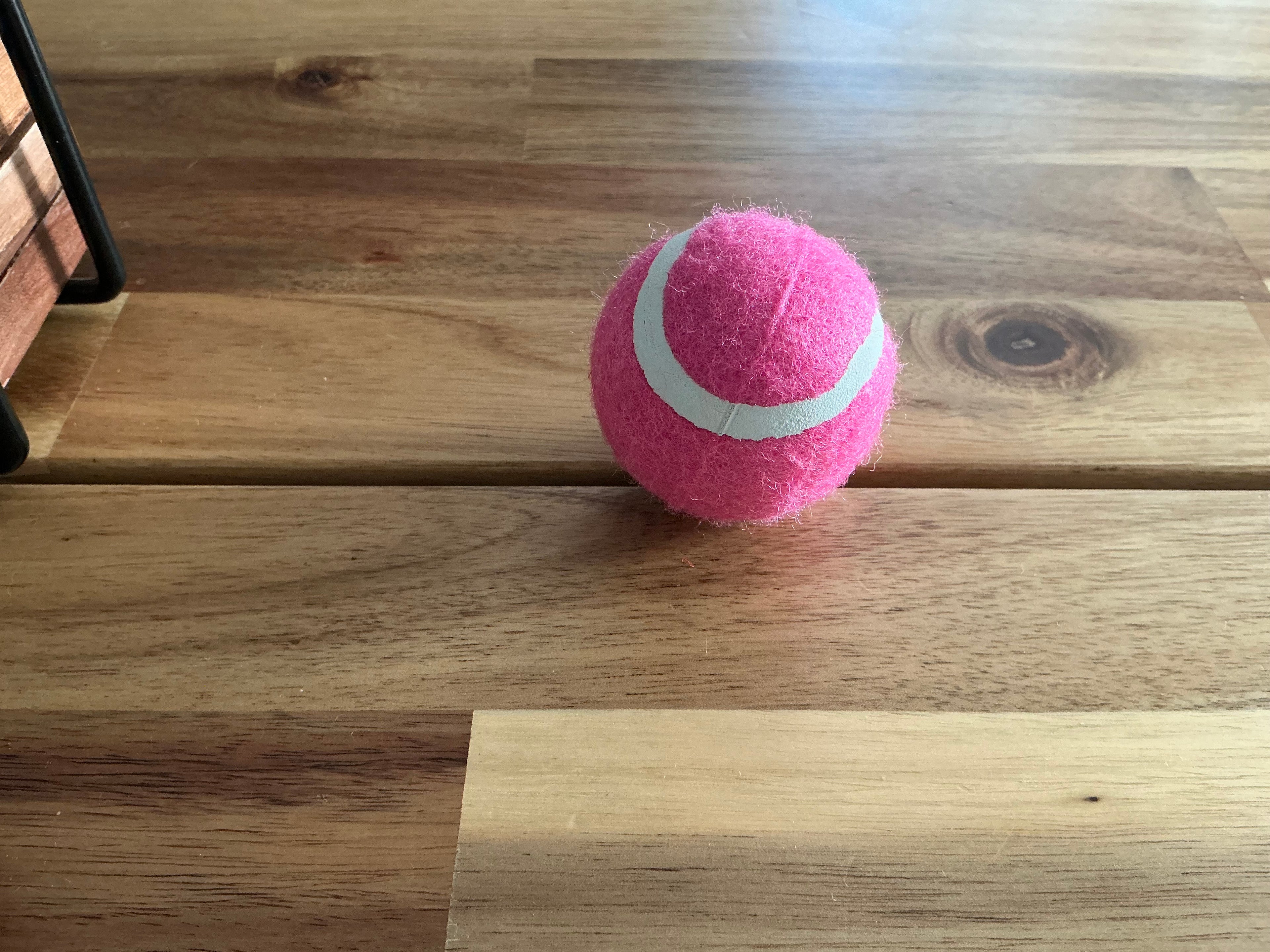Bolas para perros pequeños (Rosa)