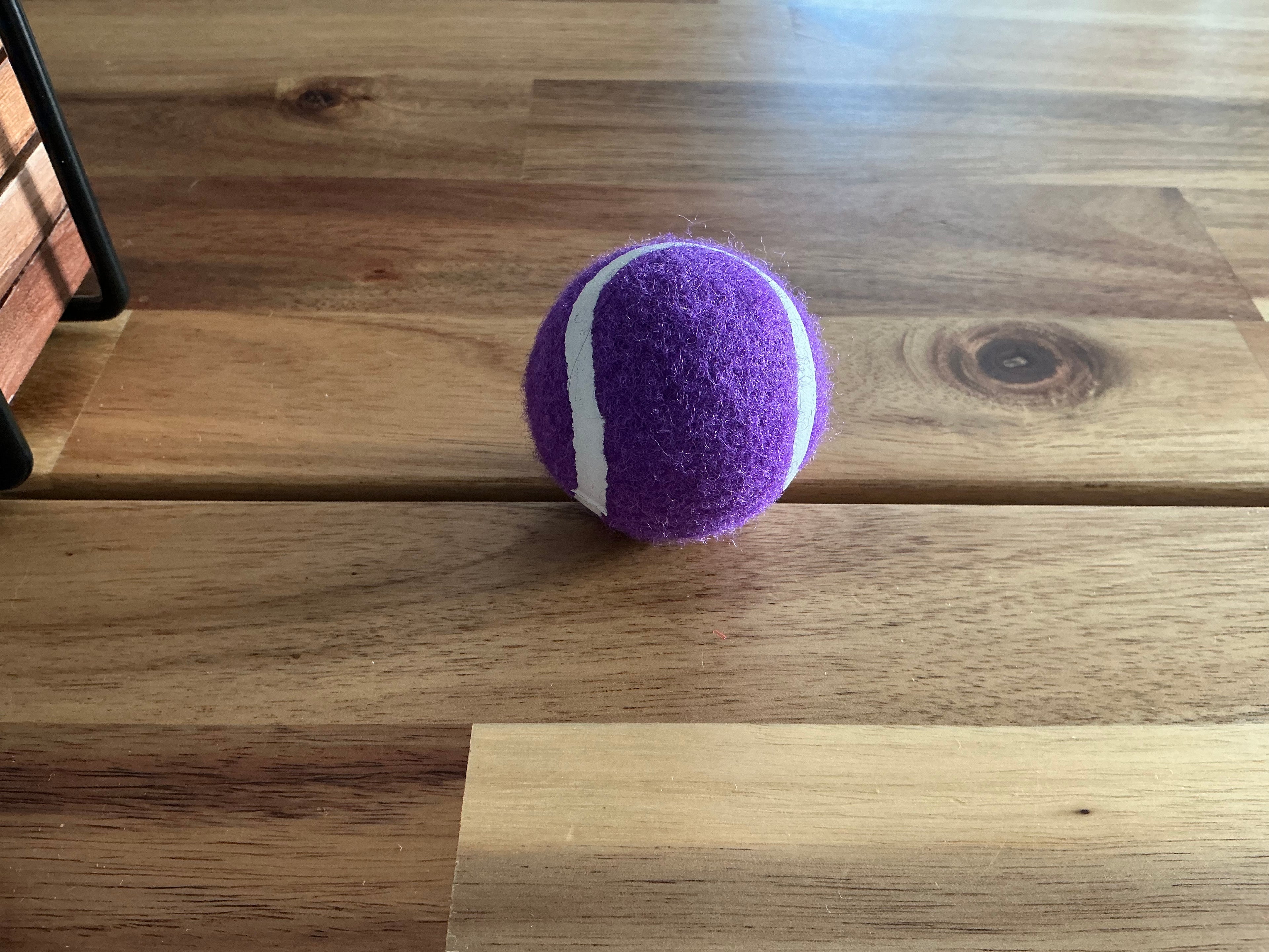 Bolas para perros pequeños (Violeta)