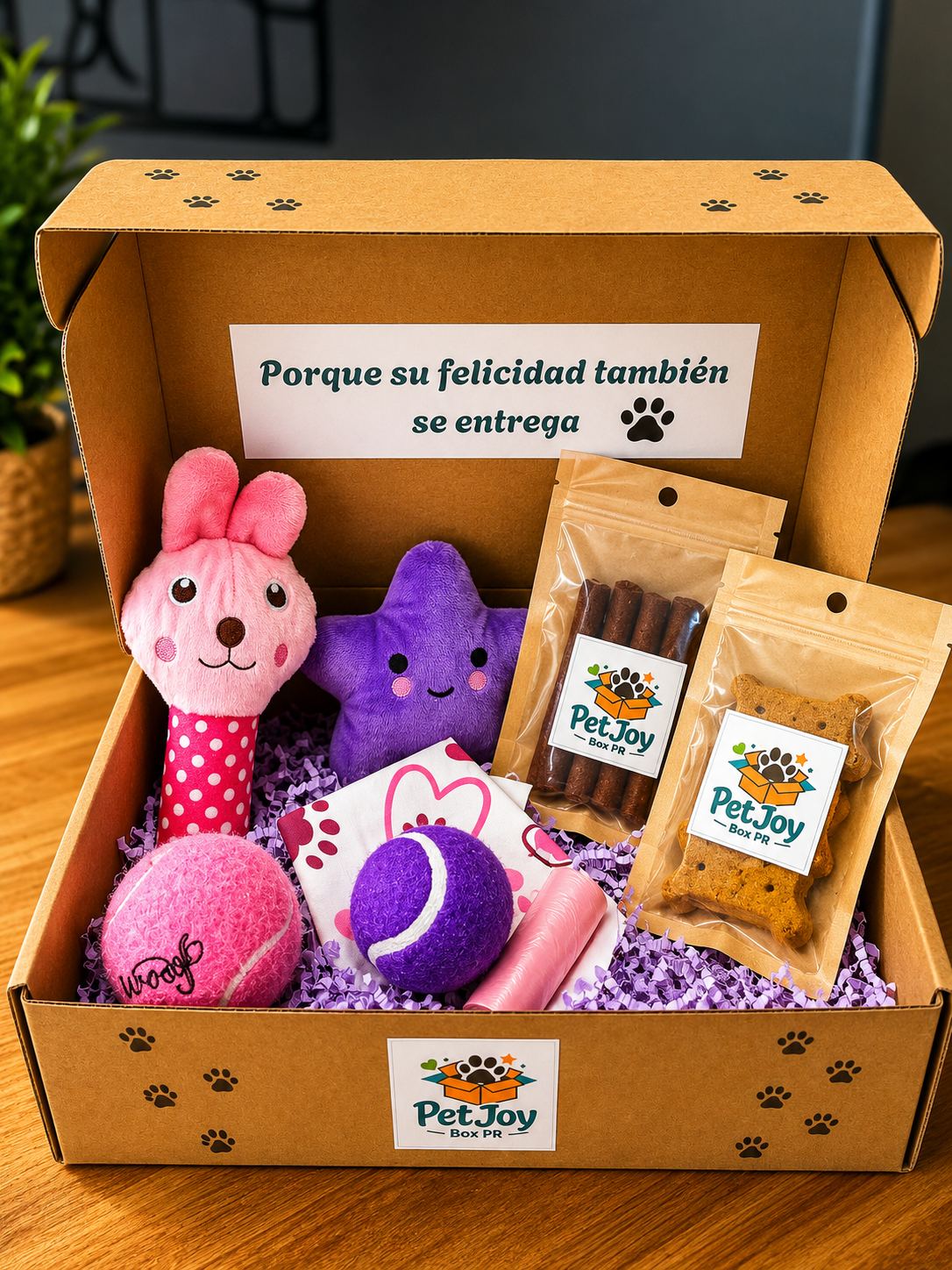 Pet Joy Box Plus –
