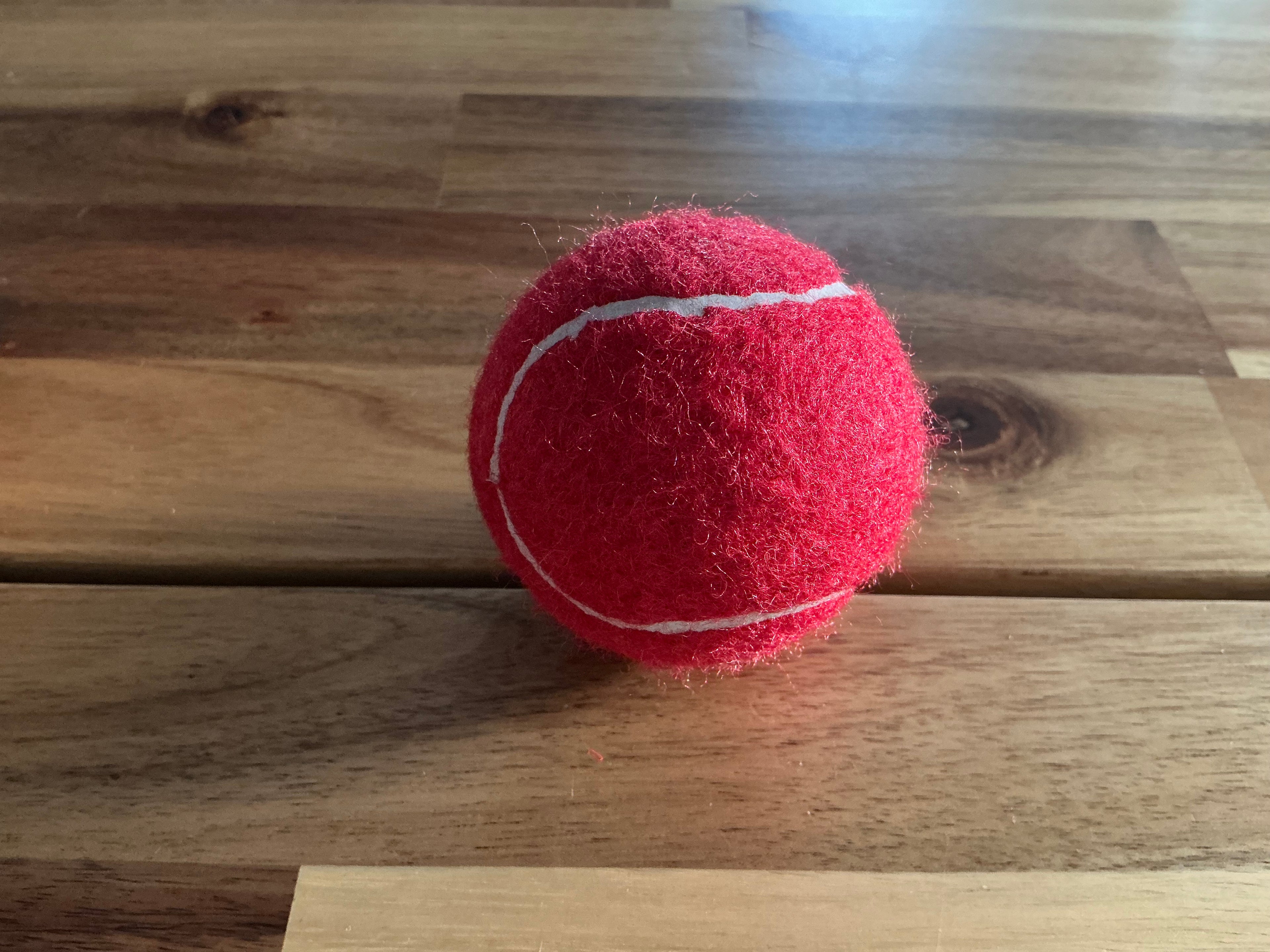 Bolas grandes para Perros Rojo