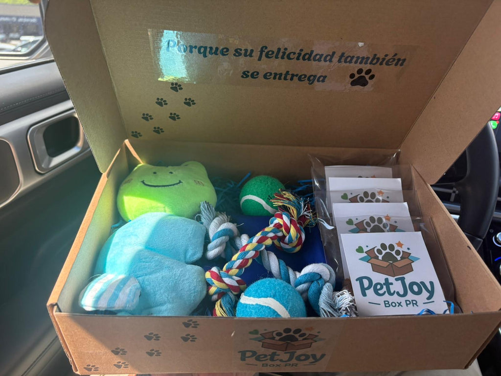 Caja lista para tu mascota de $35.00🐶🐾